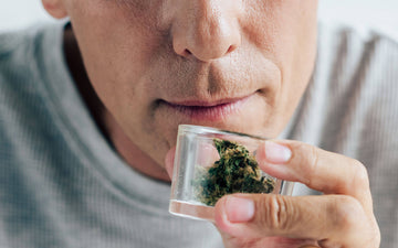 How to Hide The Smell of Weed?