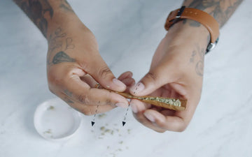 How to Roll a Blunt Easier: 2025 Expert Tips